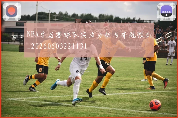 NBA季后赛球队实力分析与夺冠预测_20260603221131